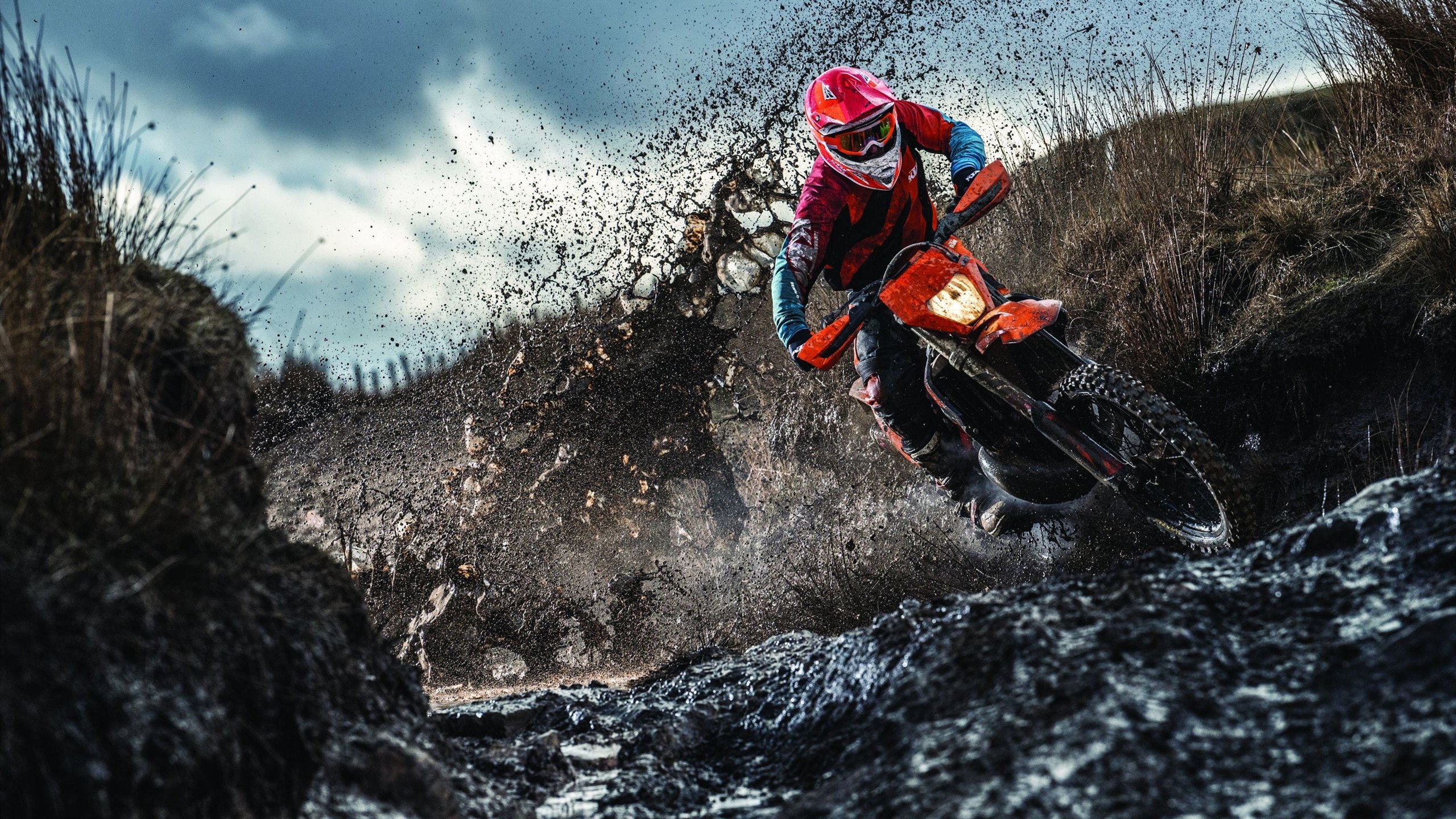 世界杯:非洲区末轮喀麦隆读秒绝杀阿尔及利亚 主队球迷当场崩溃